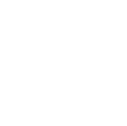 Logo Elsi