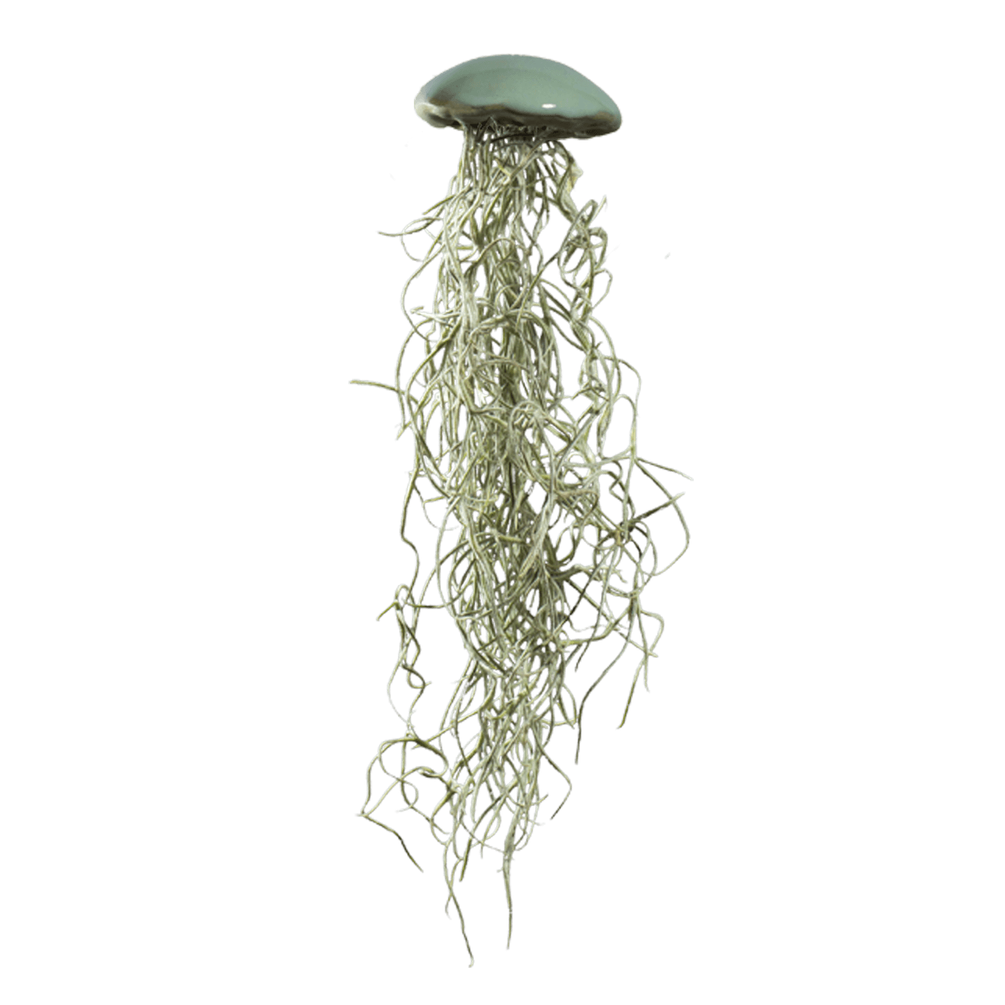 Keramik Medusa in Grün