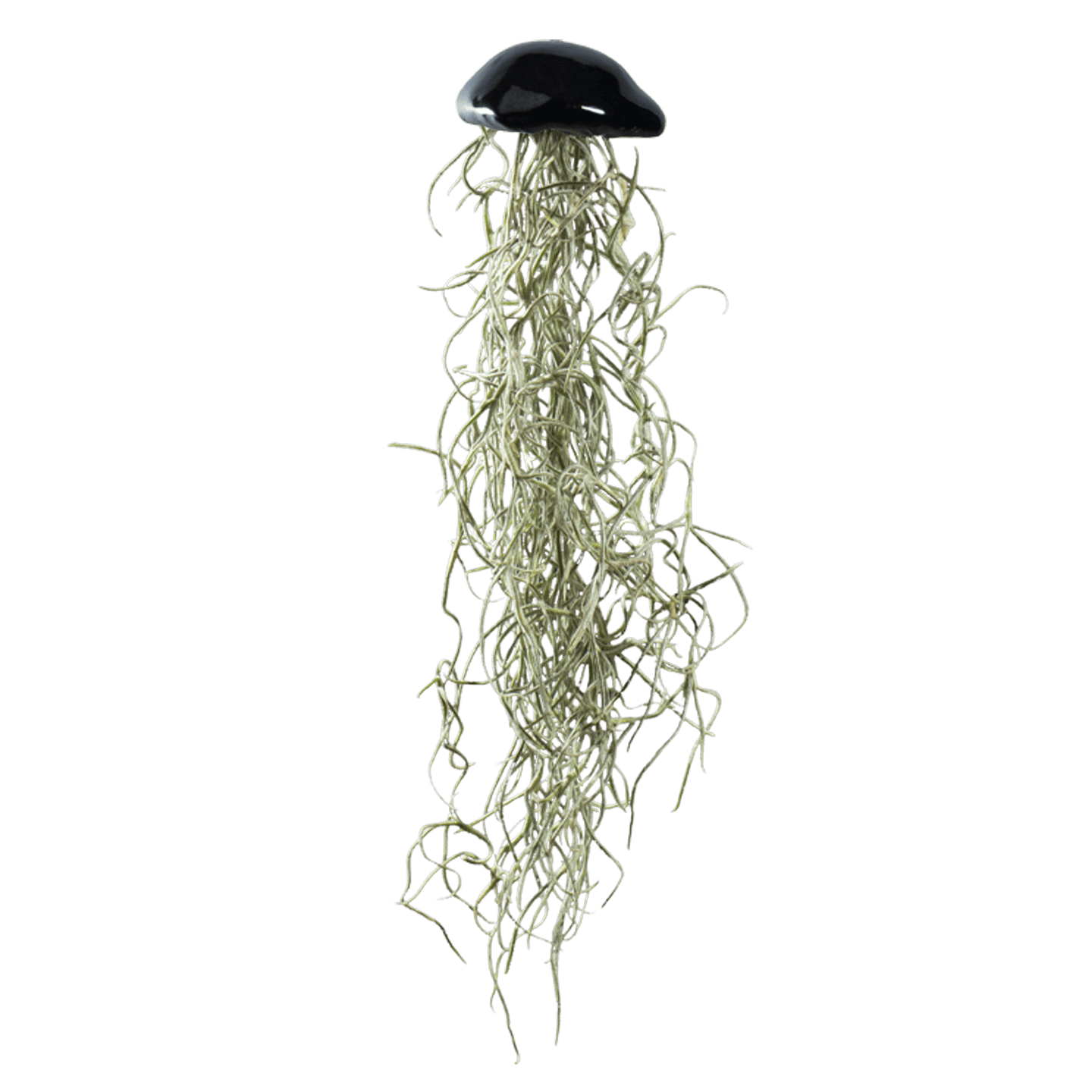Keramik Medusa in Schwarz