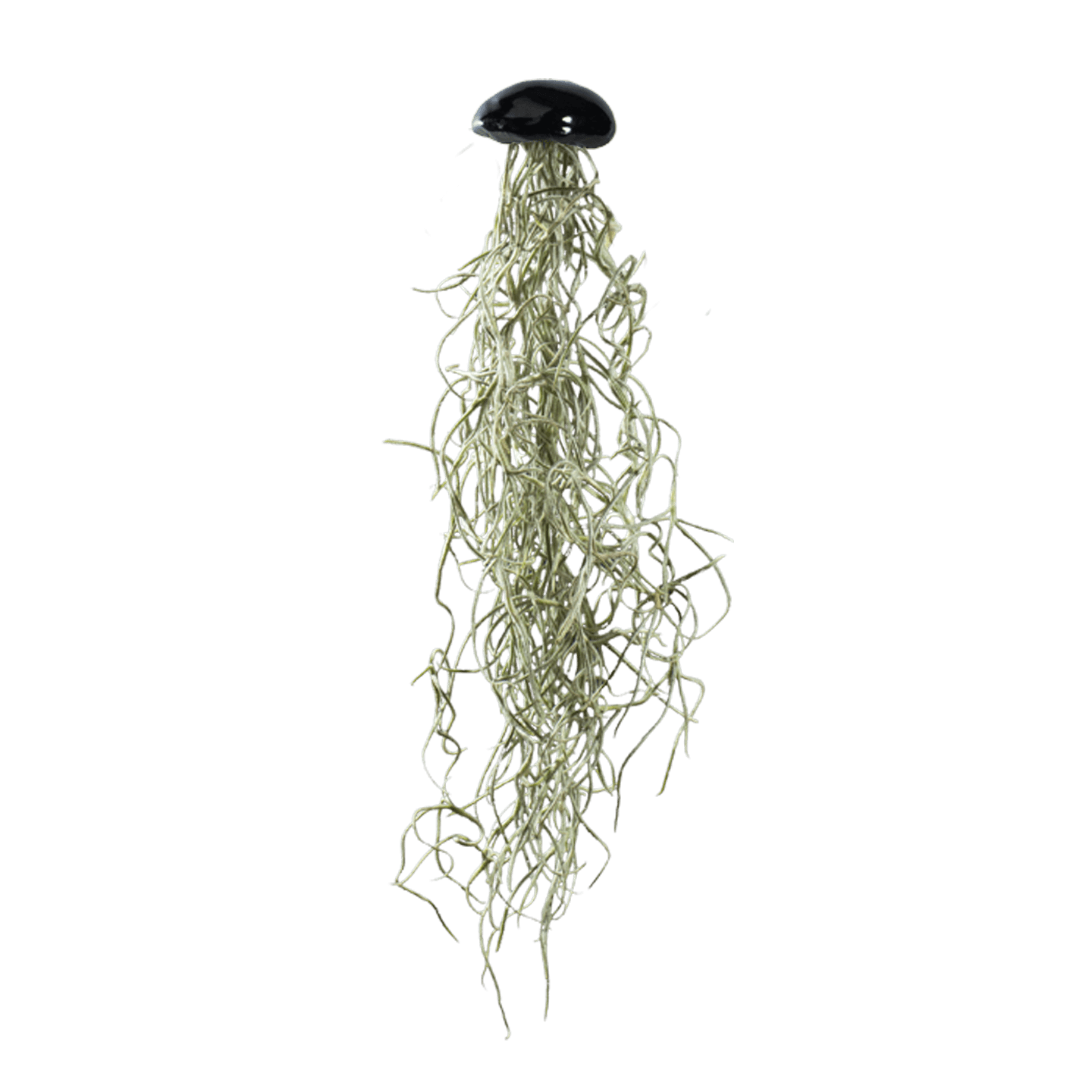 Keramik Medusa in Schwarz